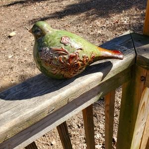 Spring Robin 🍀🐦